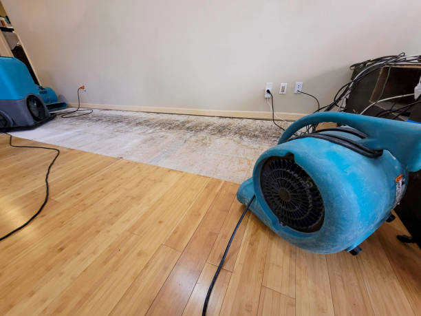 Professional Sewage Cleanup technician working in Conesville, OH